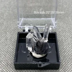 100% Natural Specular hematite and crystal symbiosis mineral specimen crystal stones and crystals quartz collectibles