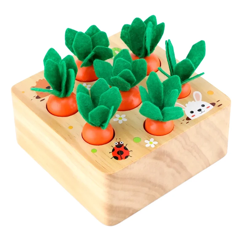 Assortimento di forme in legno Montessori Carote Giocattoli coordinati Educazione precoce del bambino Gioco di puzzle di palcoscenico Giocattoli di attività sensoriali per motori fini