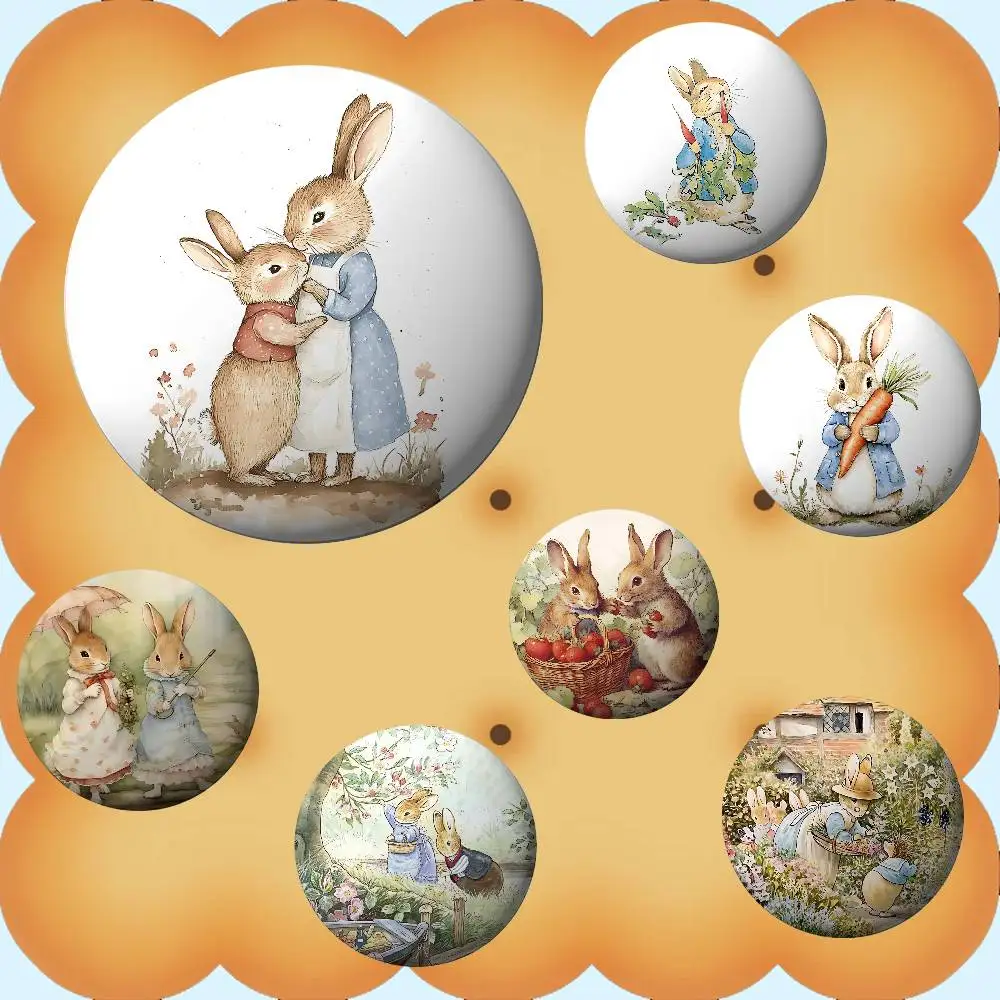 P-Peters R-Rabbits Badges Tinplate Soft Button Pin Brooch Metal Badge Custom Jewelry Accessories Hat Bag Lapel