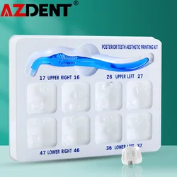 Dental Posterior Teeth Aesthetic Printing Mould Kit For Light Cure Composite Restoration Filling Tools