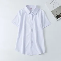 Senior Simplicity Temperament Pure White Comfort Fashion Young Handsome Clean Appropriate Men's Short Sleeved Shirt Summer 2024