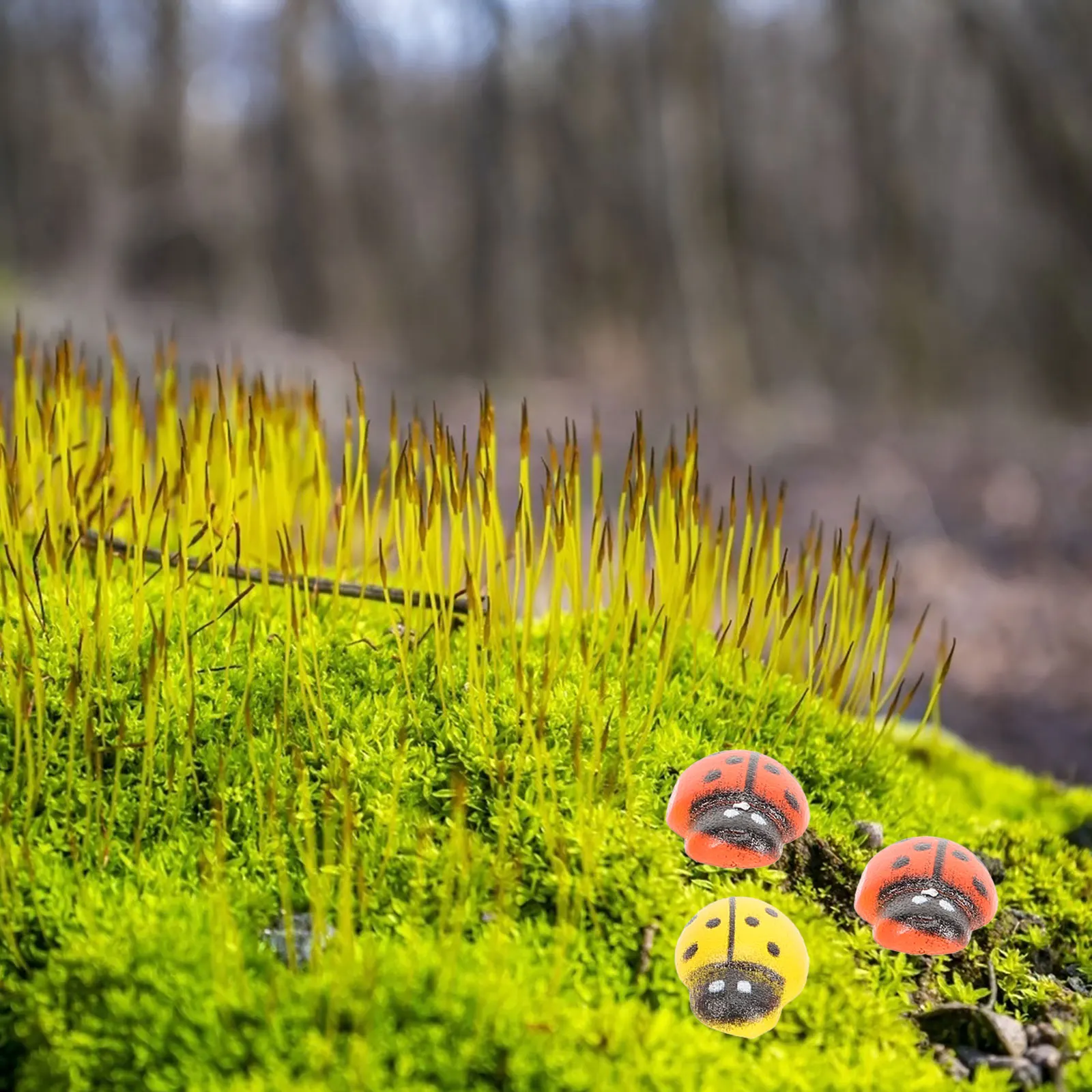 

200Pcs Ladybug Miniature Wooden Ornaments Small Lightweight Bonsai Garden Desktop Decoration Miniature Ladybug