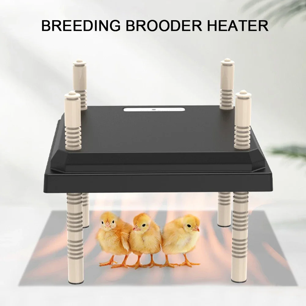 15W Chick Heater Brooder with Acrylic Plate Electric Chick Brooder Heating Plate Energy-Efficient Adjustable Height & Angle