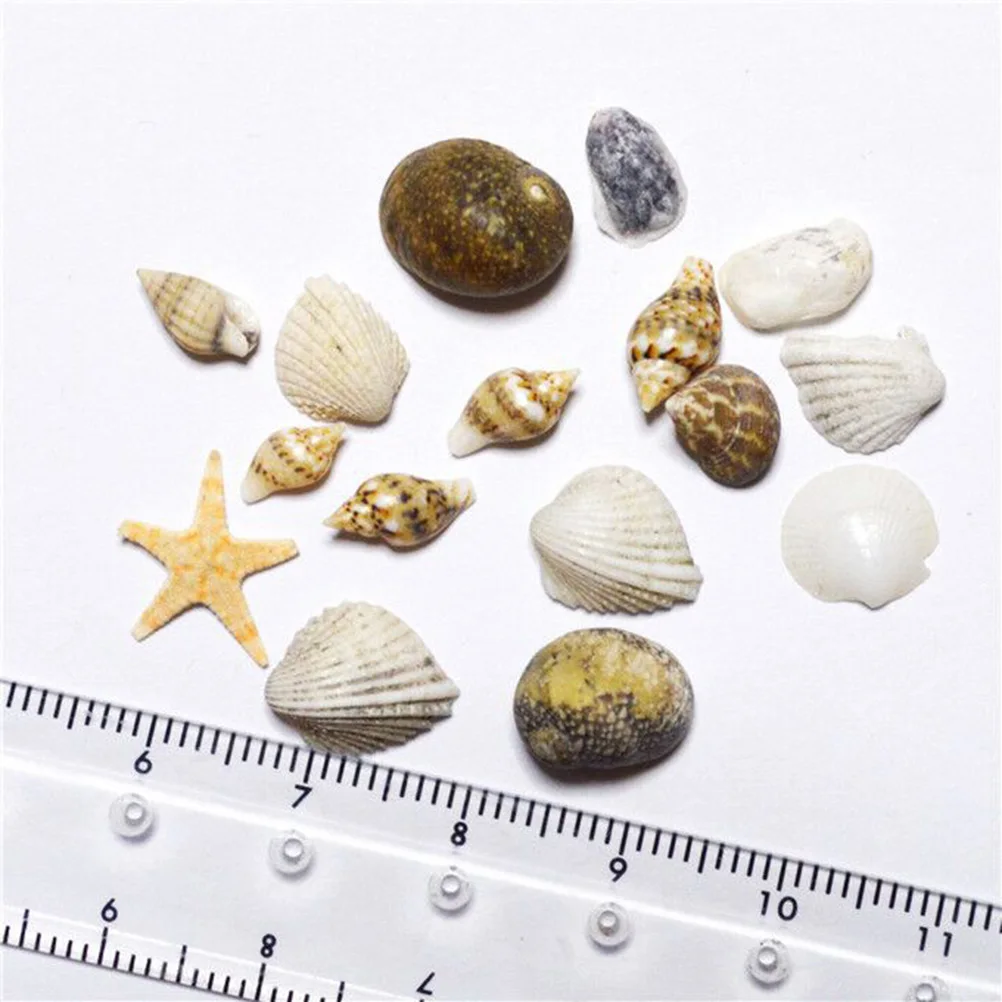 

1 Box Natural Conch Shells 3D Nail Art Decorations Diy Seashell Ornaments For Manicure Beach Style Accessories Nail Ornament