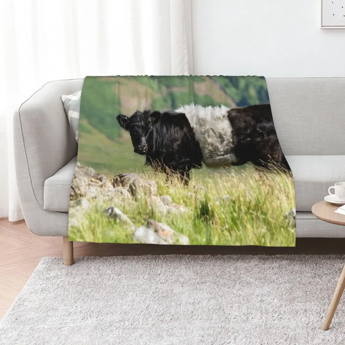 

Belted Galloway Cow Throw Blanket sofa bed Nap bed plaid Flannel Blankets