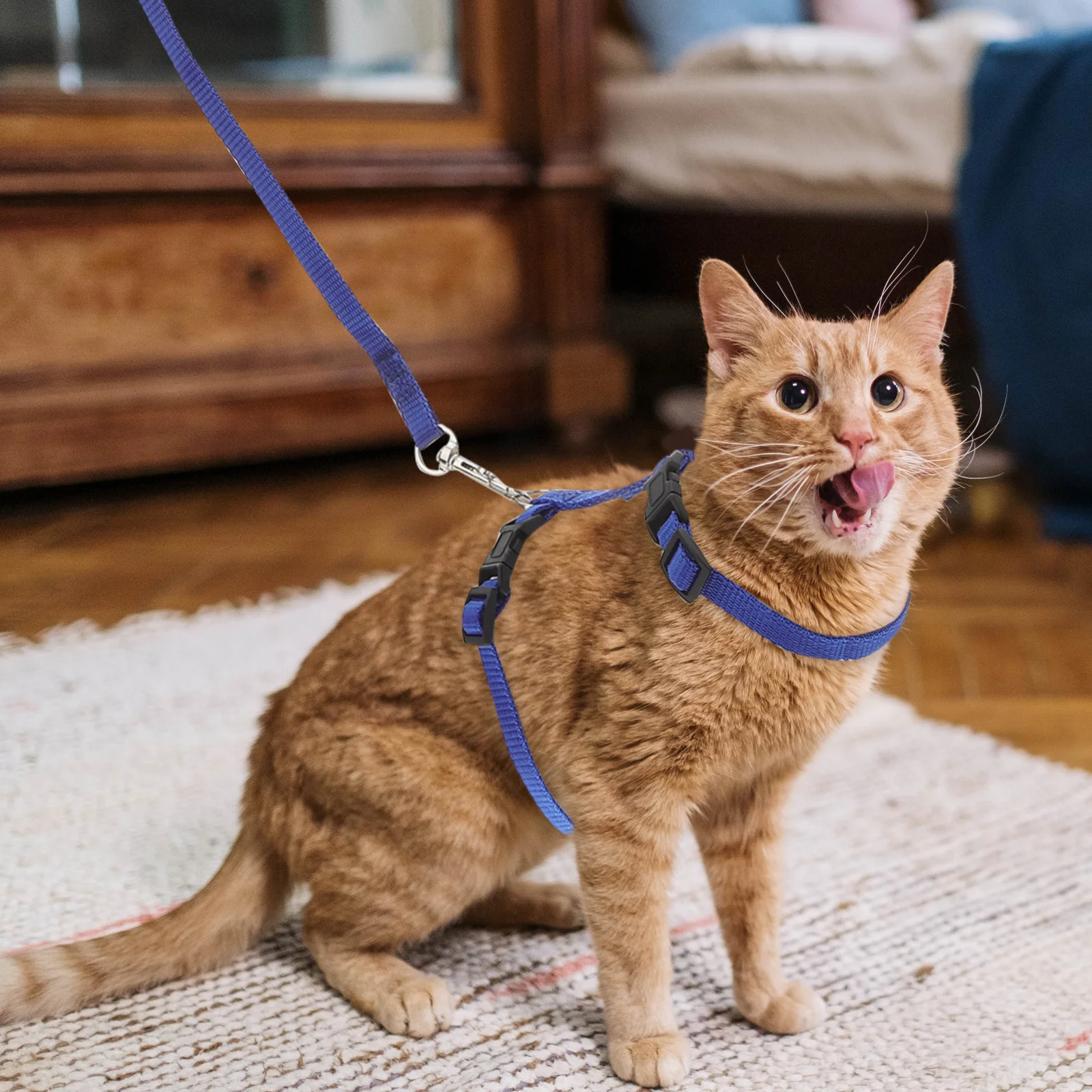 

Durable Practical Adjustable Rabbit Harness Leash Lead Sky-Blue Soft Comfortable Walking Running Pet Supplies Rabbit Harness