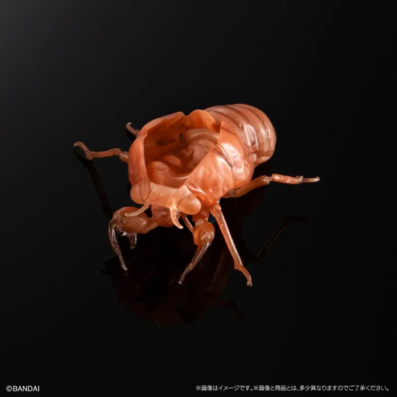 반다이 생물학 백과사전 액션 피규어 모델 매미 반점 날개 매미 가샤폰 장식품 정품 수집 장식품