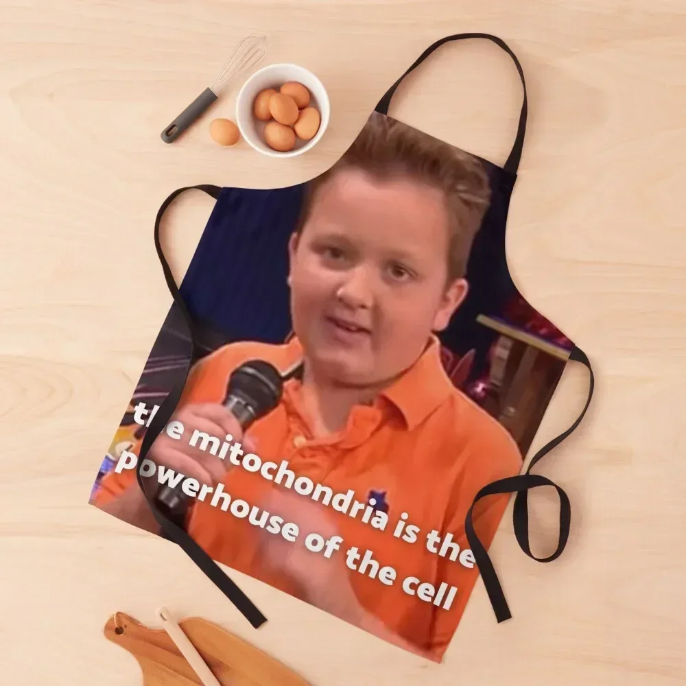 

Teacher Gibby - iCarly Apron kitchen clothes with personal logo Hairdresser All For Kitchen And Home Apron