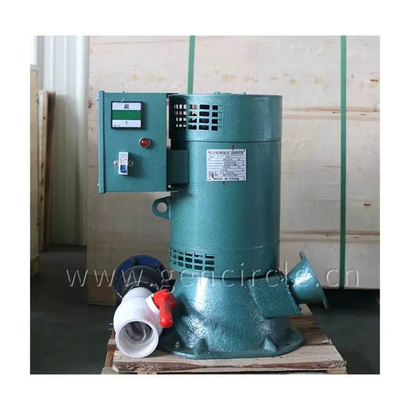 High Efficiency 50/60Hz Hydraulic Generator 3-50kw Water Turbine with AVR