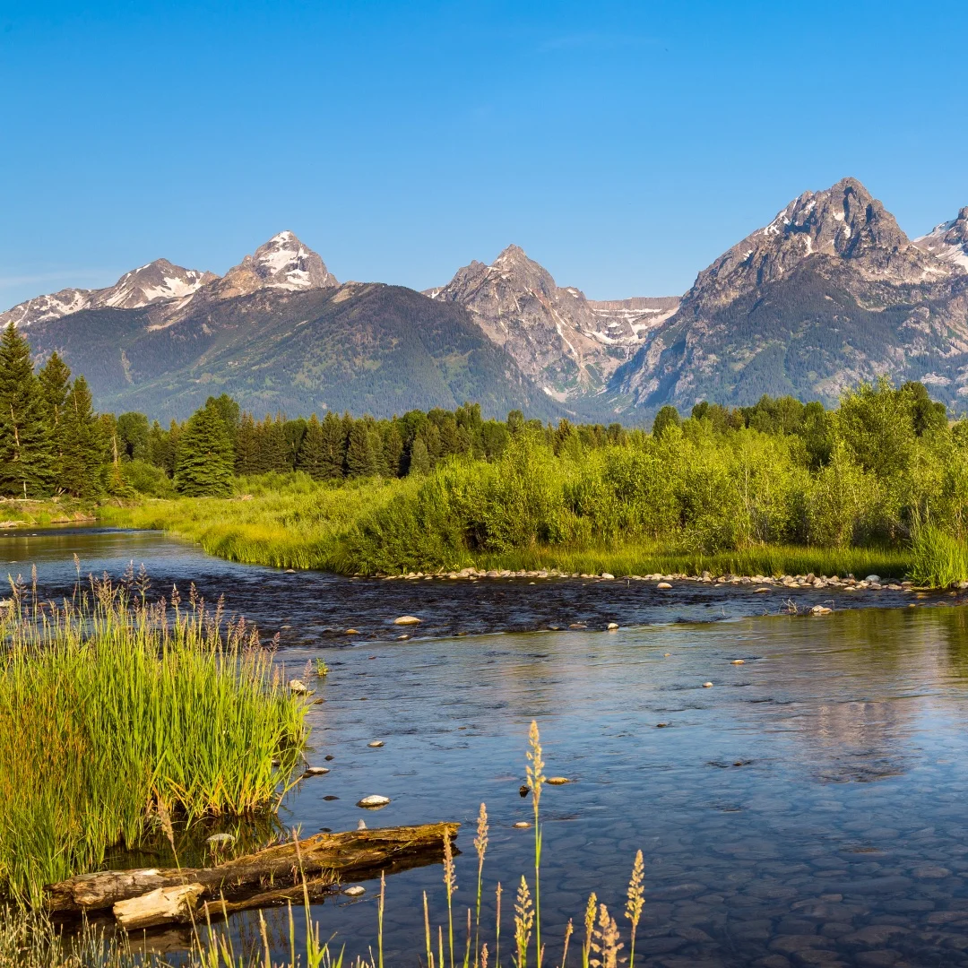 

13,3-дюймовый экран Android 13.0 Автомобильная стереосистема для Ford F150 2015-2024 Беспроводная CarPlay/Android Auto 1080P Сенсорный экран GPS-навигация