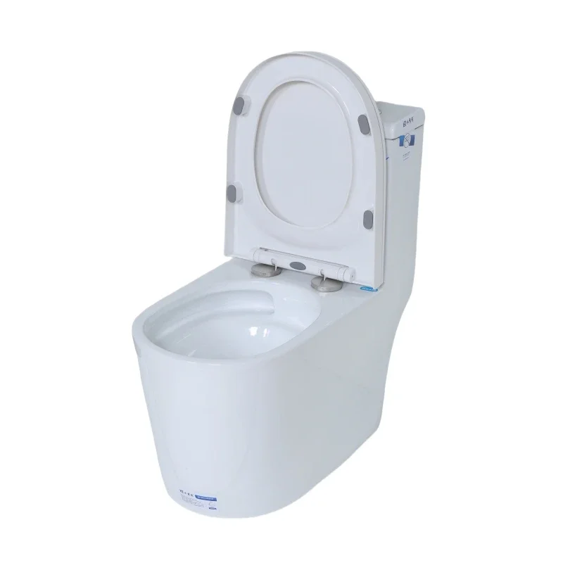 

Modern Dual-Flush Ceramic Toilet Bowl Easy Clean Self-Clean Features Floor Mounted One Piece Design for Bathroom WC Water Closet