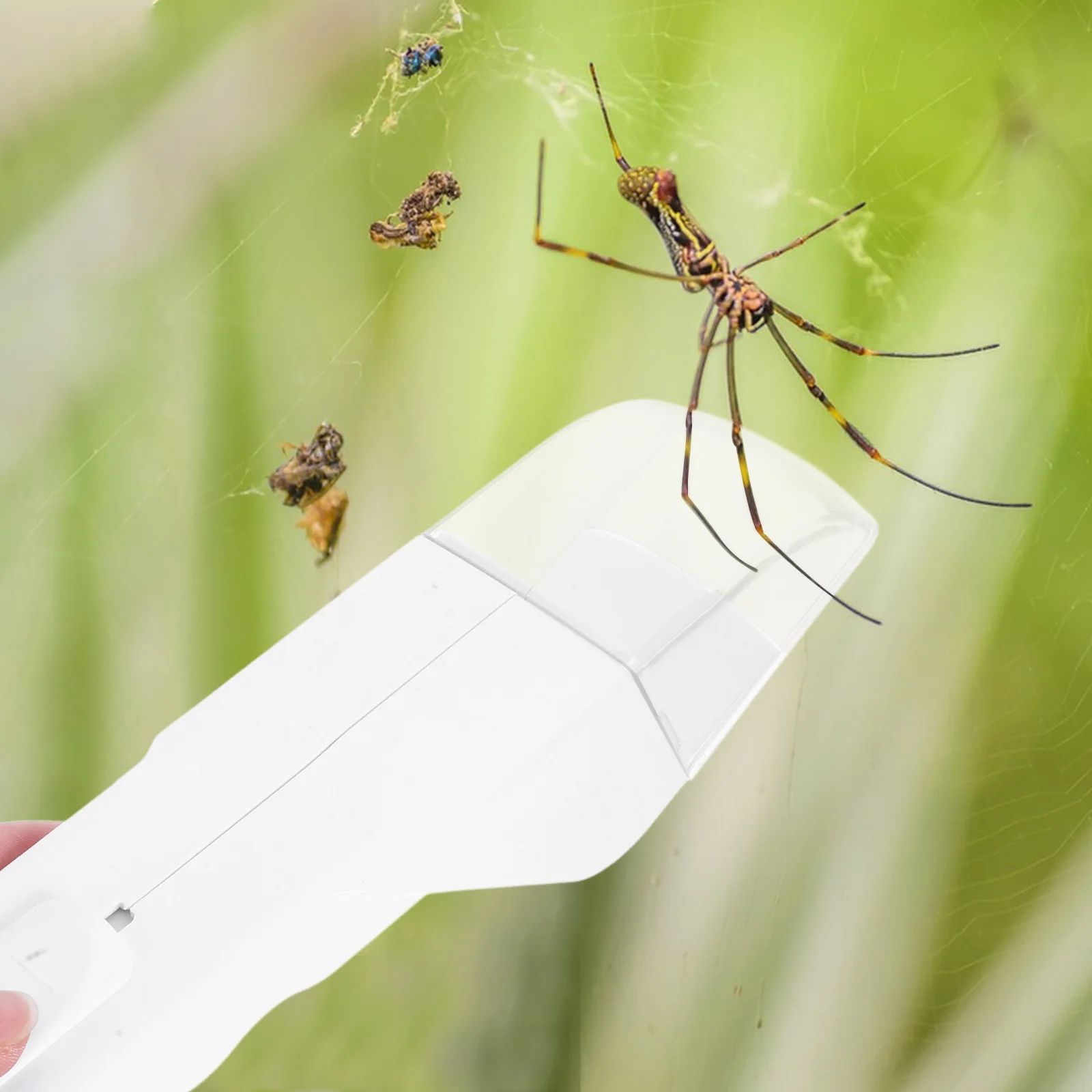 

Insect Catcher Trap Trap Handheld Bug Grabber Bees Spider Catcher Tool Butterflies Safe Plastic Garden Tool Reusable