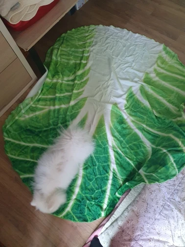 구매후기