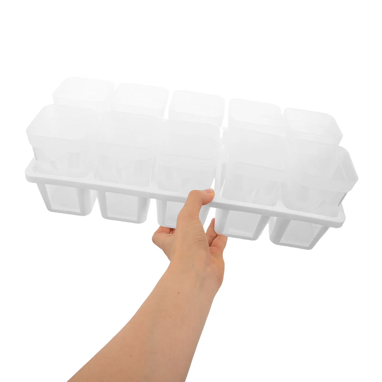 1Set Self Watering Seedling Pot Indoor Succulent Planter Propagation Cup Clear Mini Plastic Vegetable Herb Starter Kit