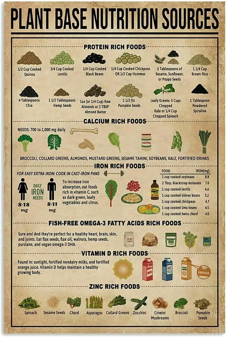 1p,HOUVSSEN Plant Based Nutrition Sources Poster Knowledge Wall Décor Art for Plant Lovers Chart Metal Tin Sign School Metal Tin