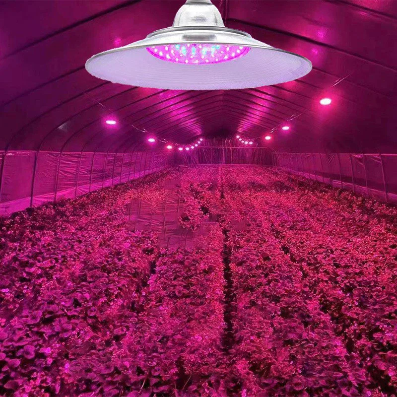 

Профессиональное светодиодное дополнительное освещение для выращивания рассады овощей и цветов в овощных теплицах