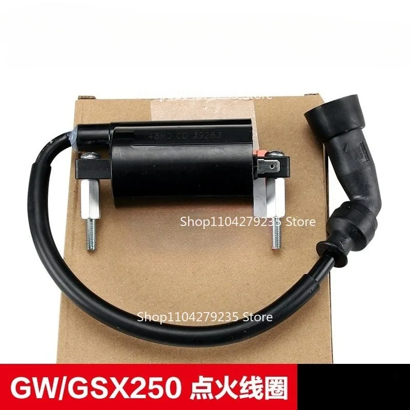 

Подходит для Haojue Original GSX250 GW DL250 DR300 Катушка зажигания Высоковольтный пакет Высоковольтный колпачок воспламенителя