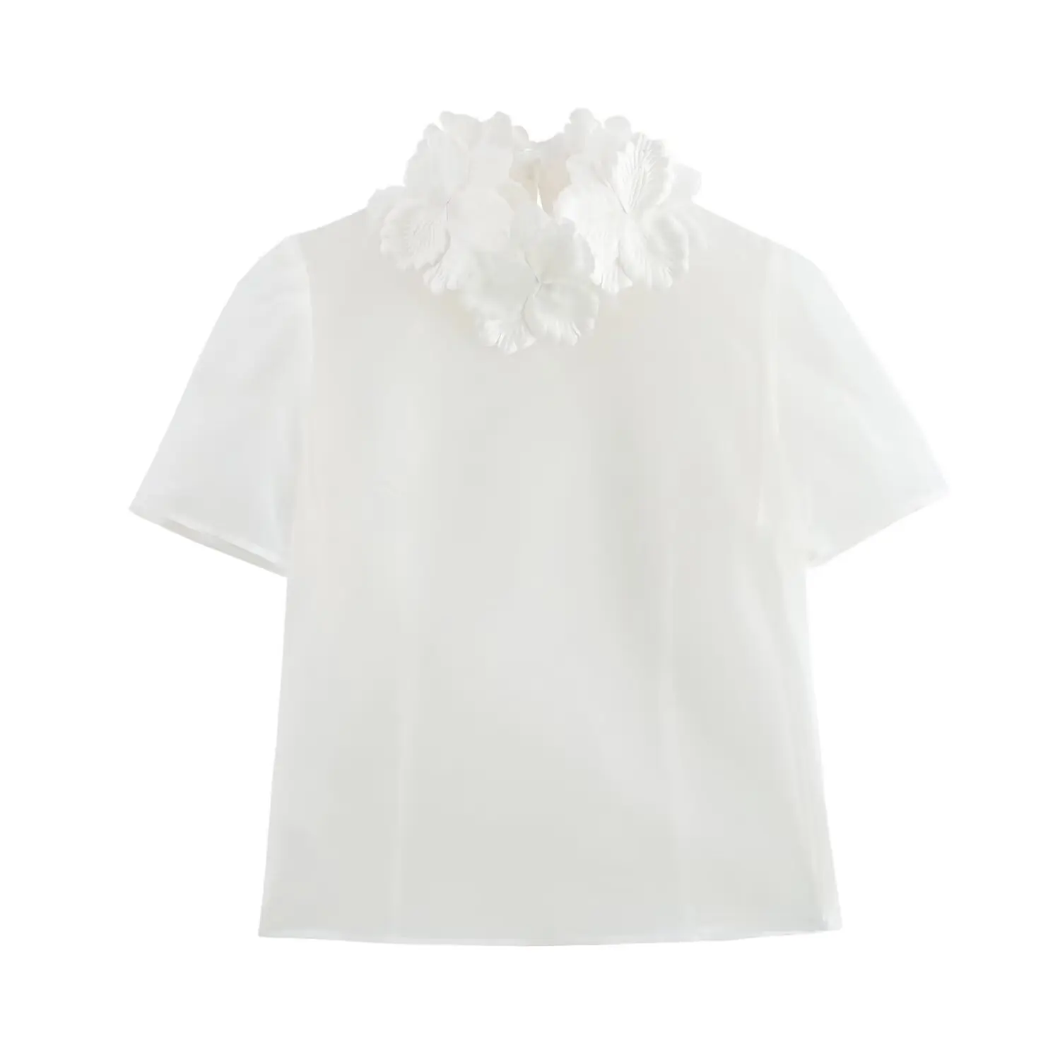 

PB&ZA Women's Short - sleeved Sheer Blouse with Floral - embellished High Neck for Summer for a Delicate and Stylish Look