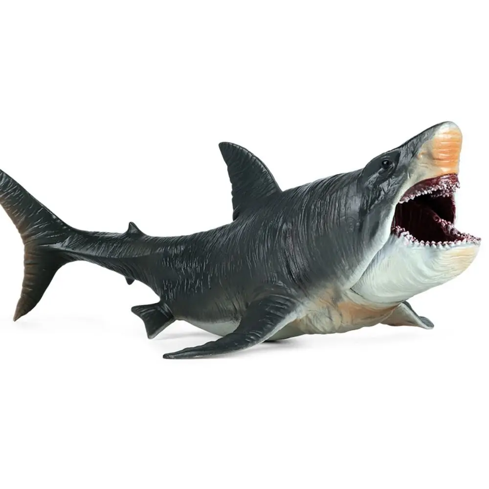 Simulation Megalodon Action Figure Movable Jaw Sea World Ocean Animals Model Educational Realistic Big Shark Figure Collection