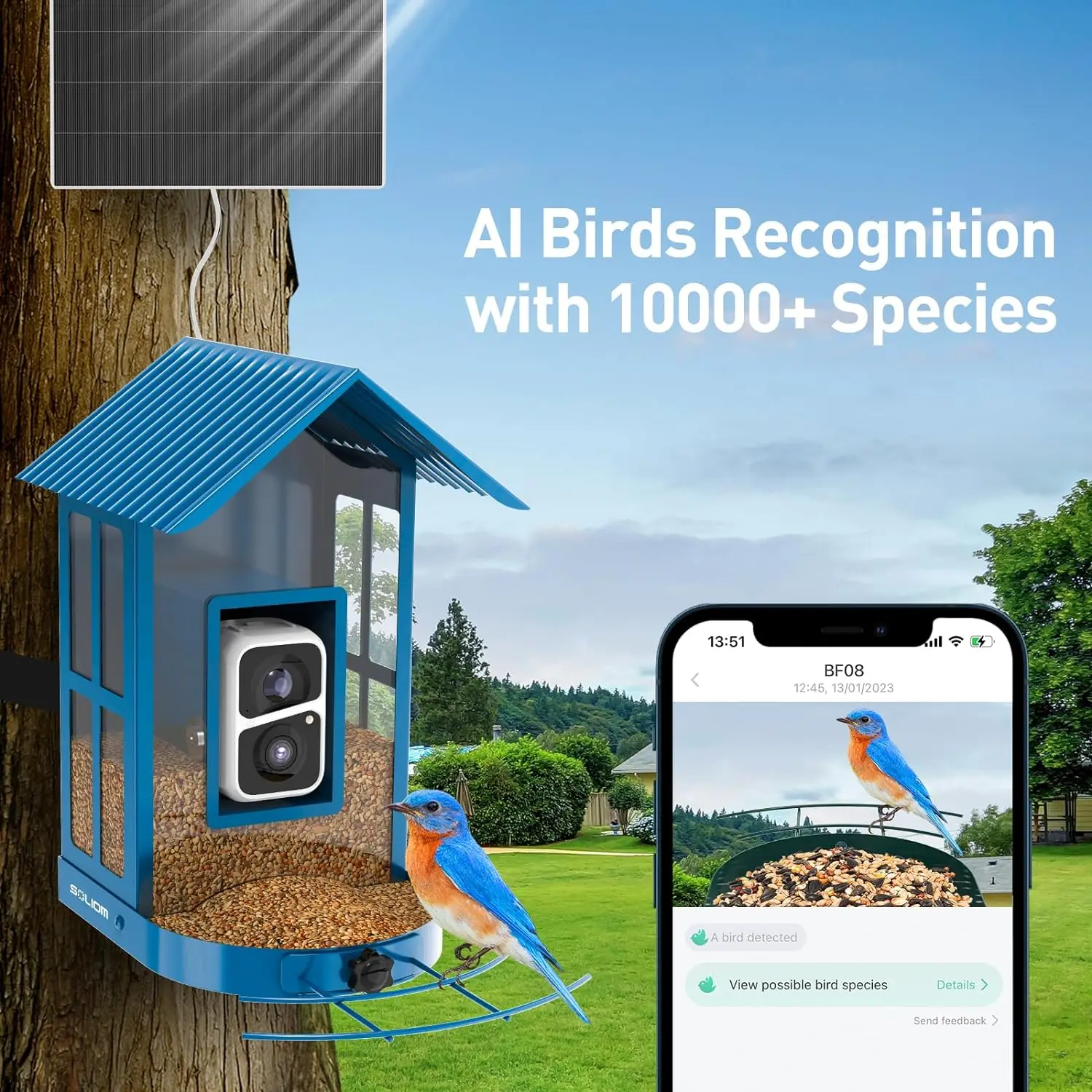 Bird Camera 1080P Smart Bird Feeder with Camera Solar Low Power Night Vision Camera IP66 Waterproof Real Bird Species Feeder