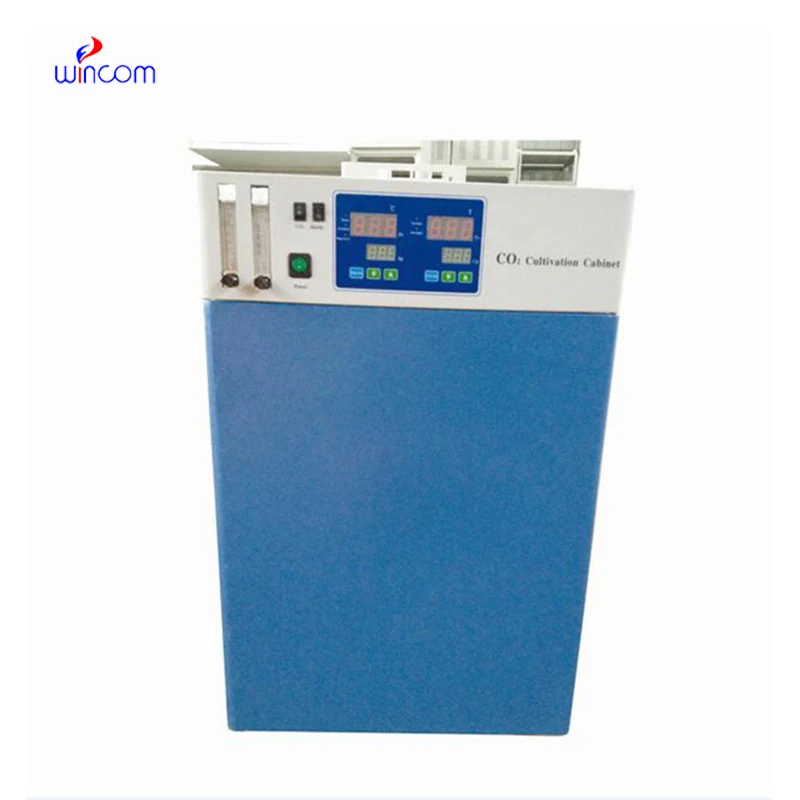 Digital 240L Lab Incubator Co2 Incubator Electric Constant-temperature Bacteria Incubator For Sale IN-CO240