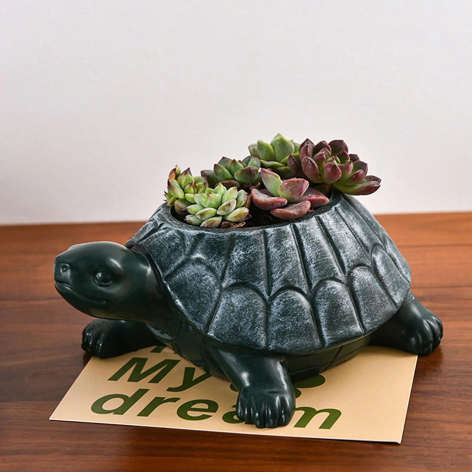 Turtle Planter Flower Pot Collectible Decorative Desk Ornament Art Bonsai Pot Animal Garden Pot for Cabinet Gift Hotel Cafe