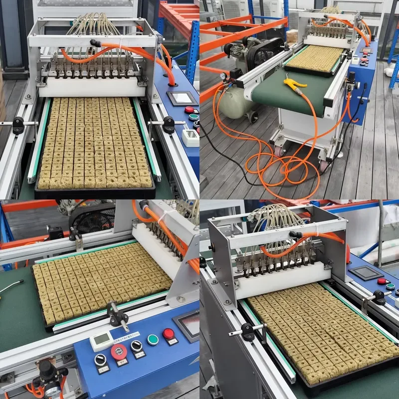 YWM Certificate Electric Precision Planter Agricultural Seeder Machine Air-Suction Seedling Machines with Different Sizes