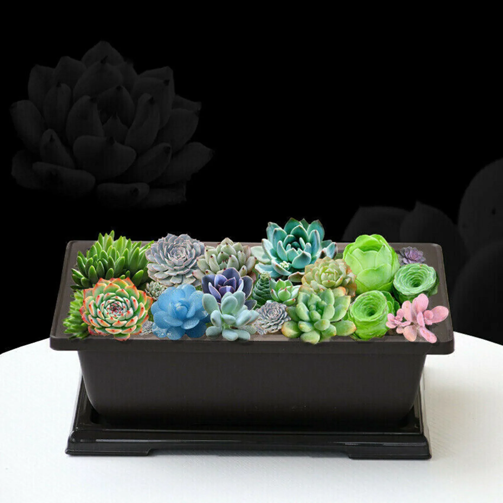 -A12R 2X Large Flower Pot Rectangle Bonsai Nursery Planter Balcony Container 29X21X10.5Cm