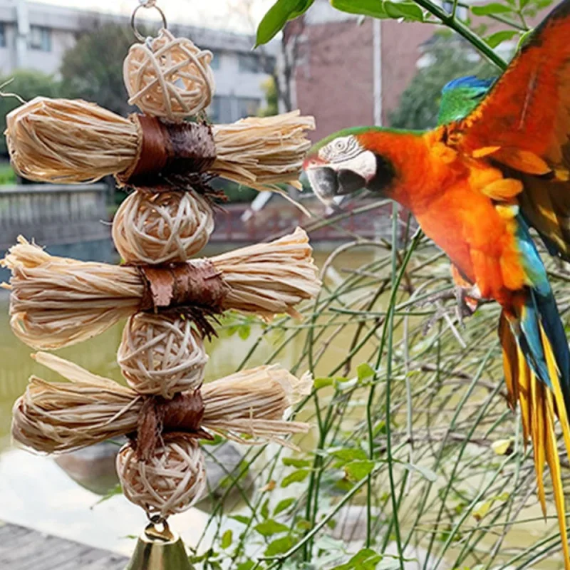 

Шампуры для грязения и жевательных зубов с попугаем, игрушки для шариков с лафитной травой и лафитной лозой, товары для домашних животных, безопасные материалы, прочный