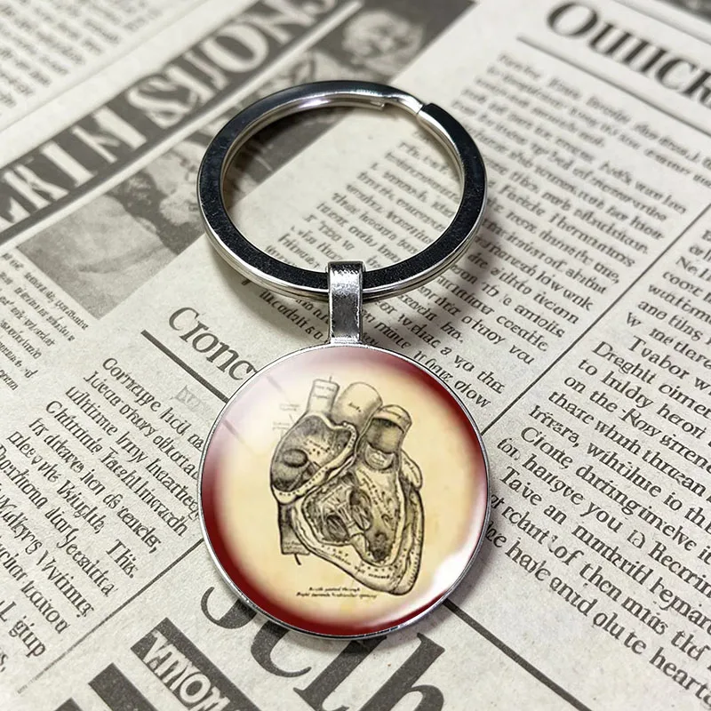 Anatomical Heart Key Chain Charm Key Chain Glass Key Chain Key Ring Heartbeat Signal Pendant Biologist Doctor Gift