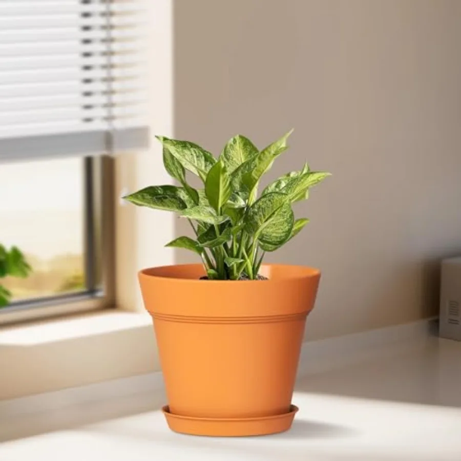 4 Inch Plastic Plant Pots with Drainage Holes and Trays 8 Pack Small Nursery Pots for Indoor and Outdoor House Plants and Flowe