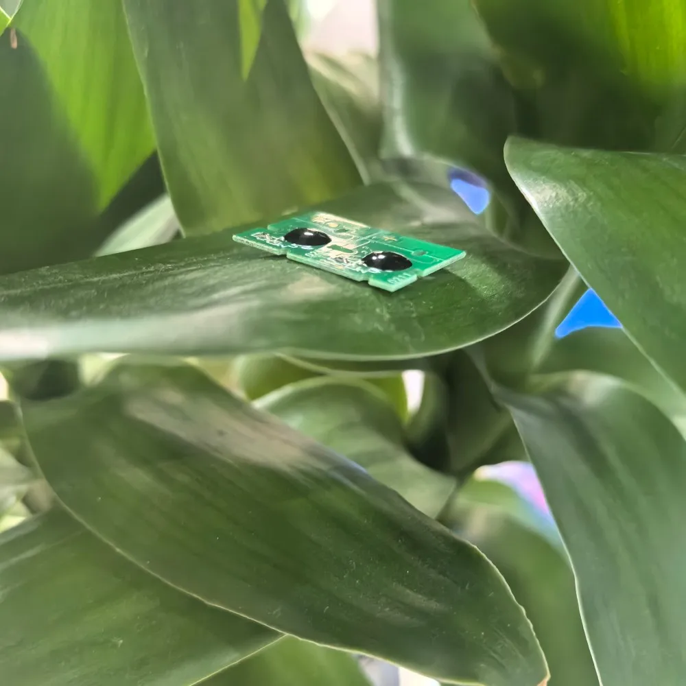 

T6193 T619300 Чип резервуара для обслуживания для Epson T3000 T3200 T5200 T7200 T3270 T5270 T7270 F6000 F6070 P10000 Чипы резервуара для отработанных чернил