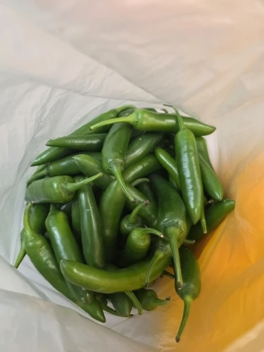 구매자 후기 사진