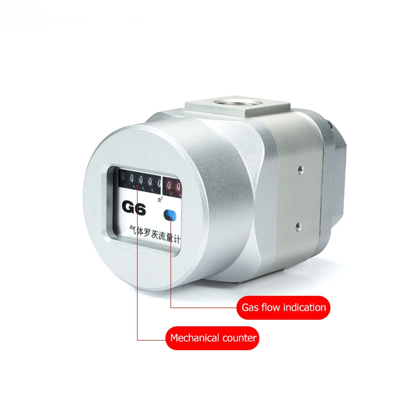 High Precision Roots Gas Flow Meter Mechanical Natural Gas Nitrogen Liquefied Gas Flowmeter for Compressed Air DN15/DN20/DN25