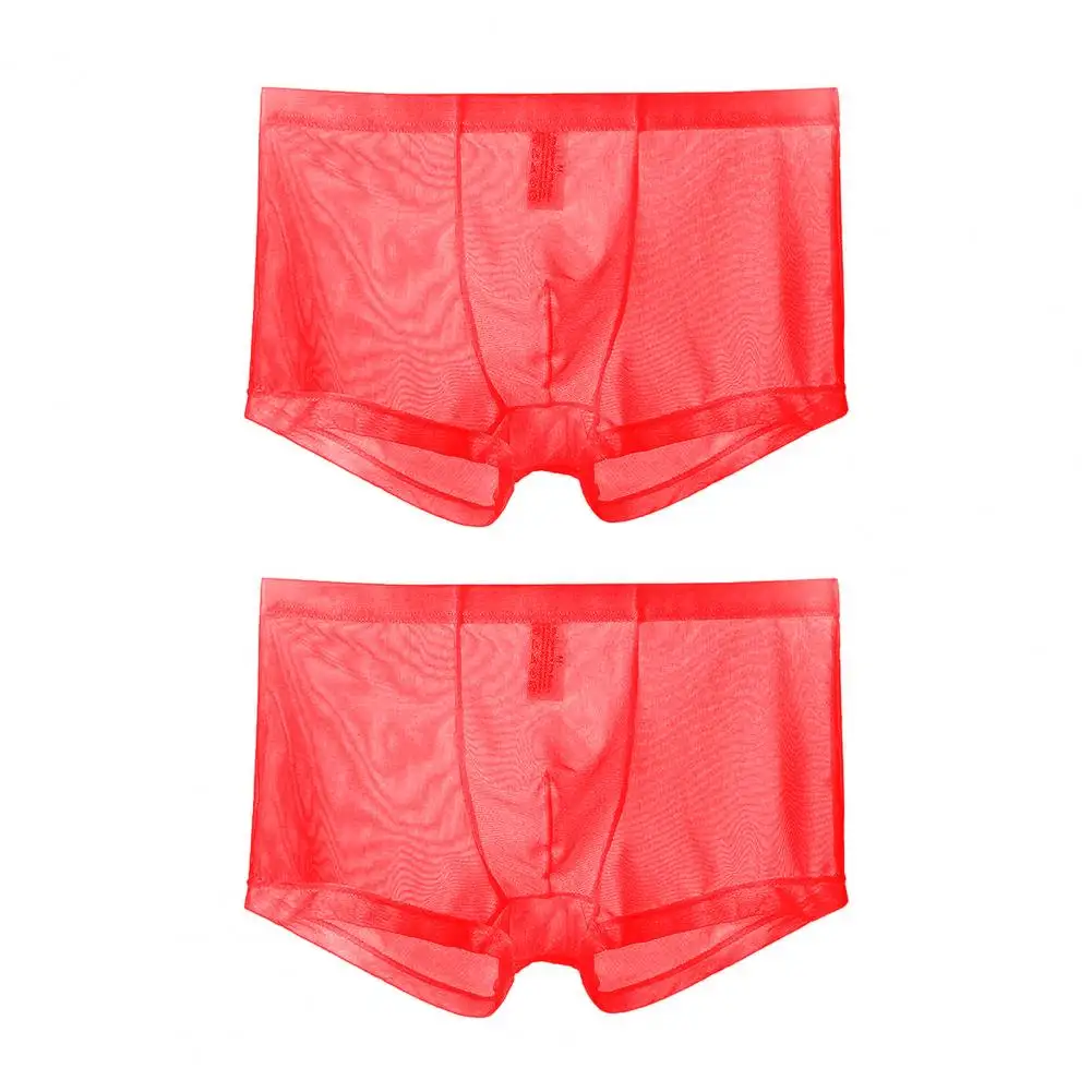 Men Boxers Thin Men Underpants Anti-septic Daily Wear  Chic See-through Men Panties