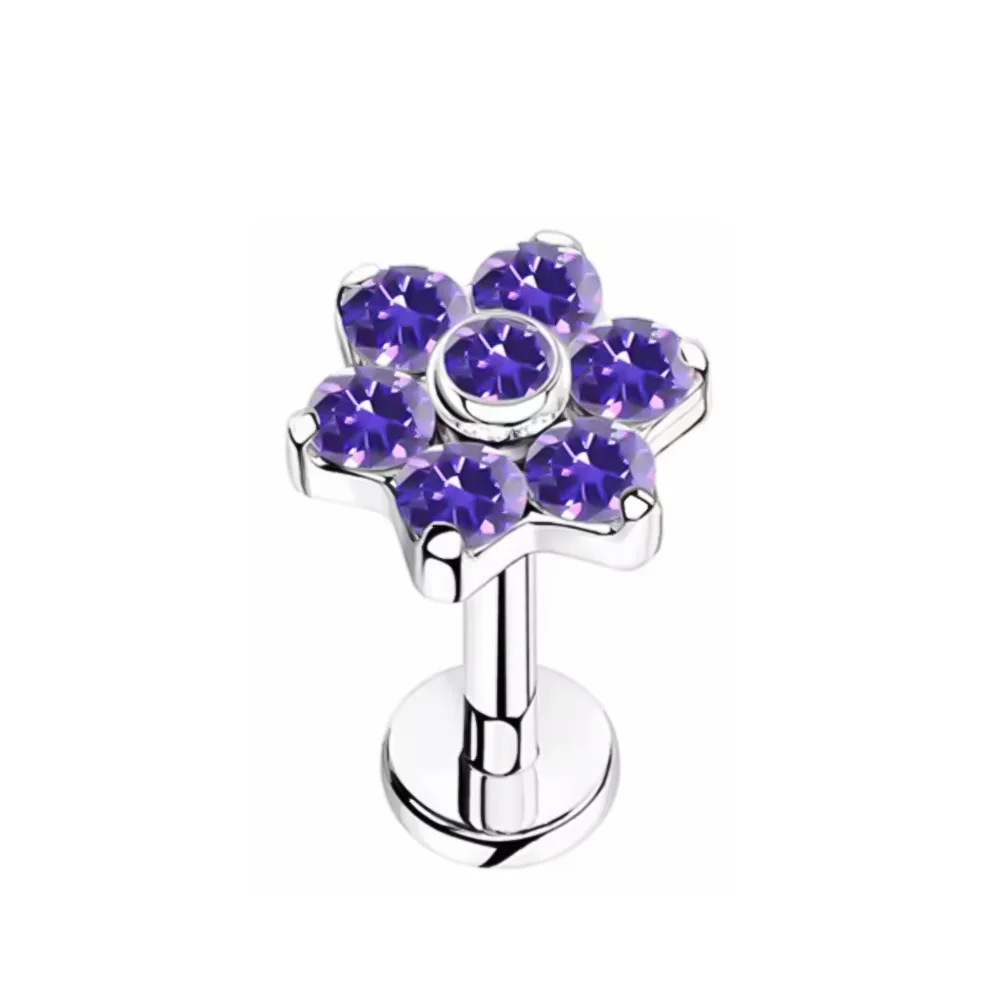 F136 Titanium Legering Mode Paarse Zirconia Stud Oorbel Set met Kraakbeen Piercing Lip Stud en Oorlel Body Piercing Sieraden