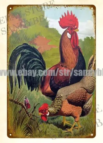 1pcs 1880 Brown Leghorns JW Ludlow Cassell's Poultry Book rooster chicken tin sign