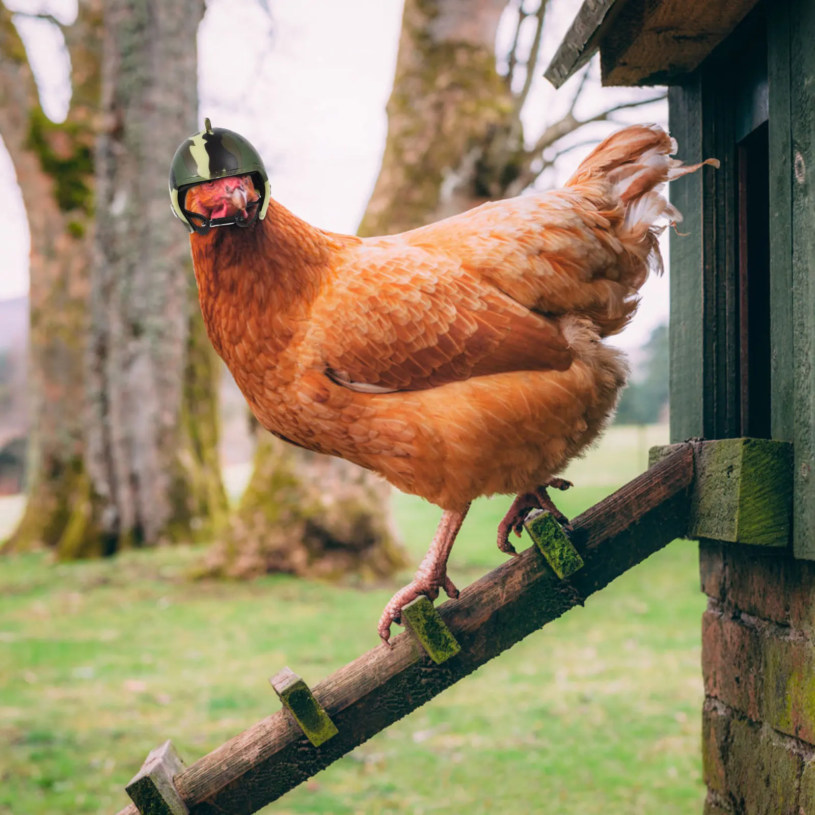 5 قطعة حماية رأس الدجاج آمنة ومريحة قبعة الدواجن في الهواء الطلق الشمس المطر الحرس لعبة الدجاج لعبة الطيور