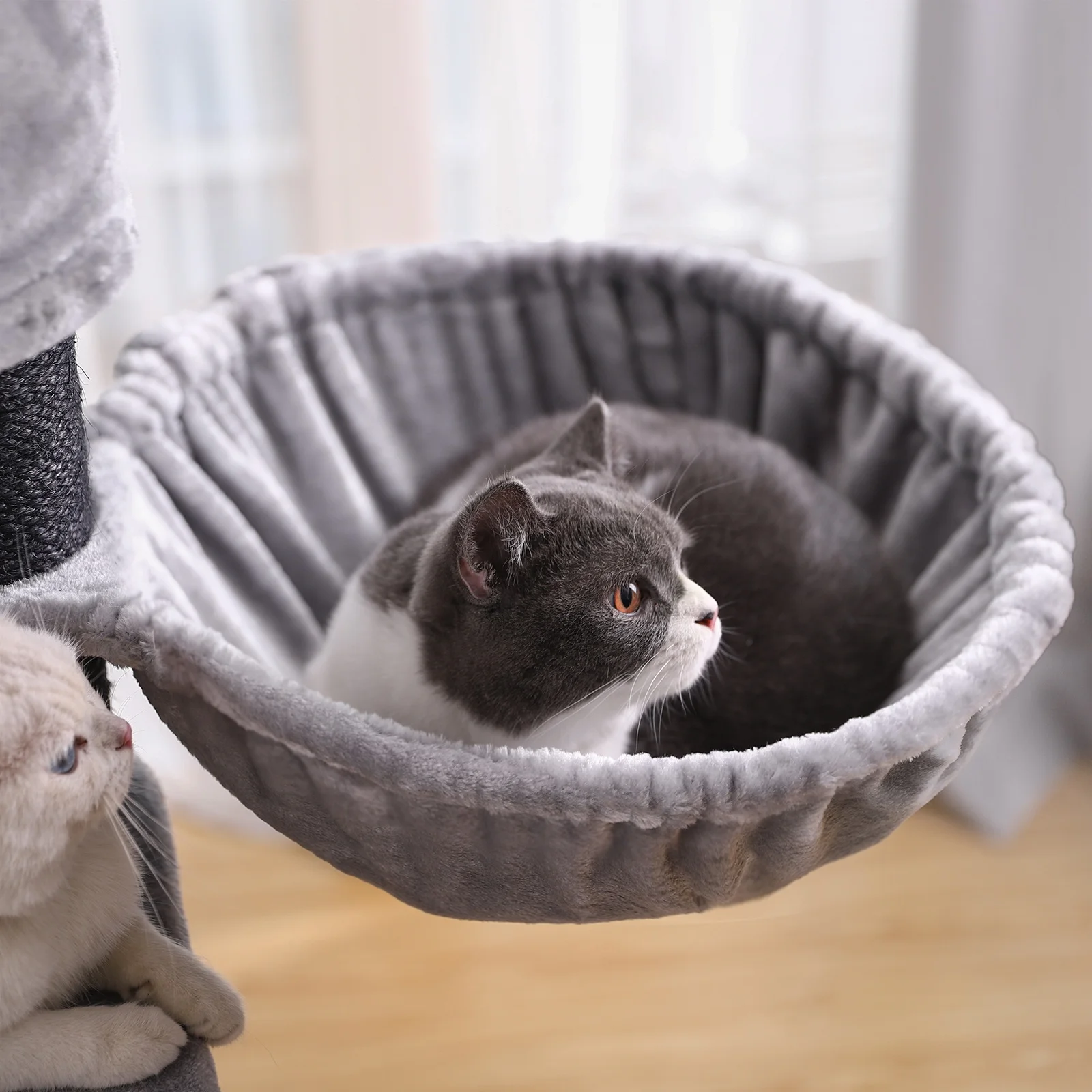 # Sağlam Tırmanan Kedi Ağacı K - Cat Scratching Post Sisal Tree Tower incelemesi ve fiyatı