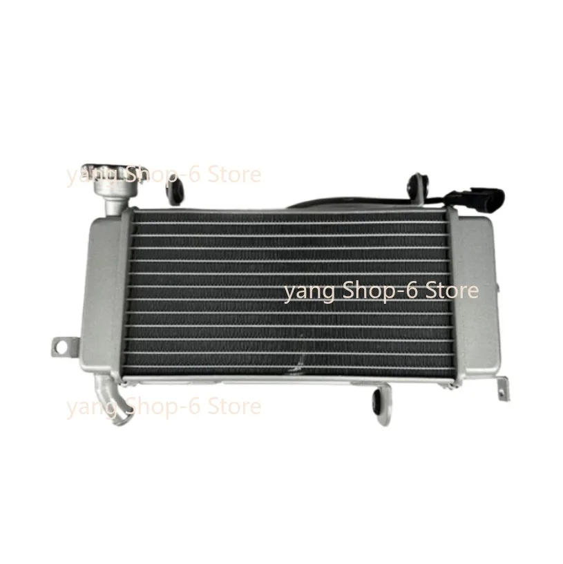 NEW Motorcycle Engine Parts Water Cooler Radiator for Keeway 125cc RKF125 RKF 125