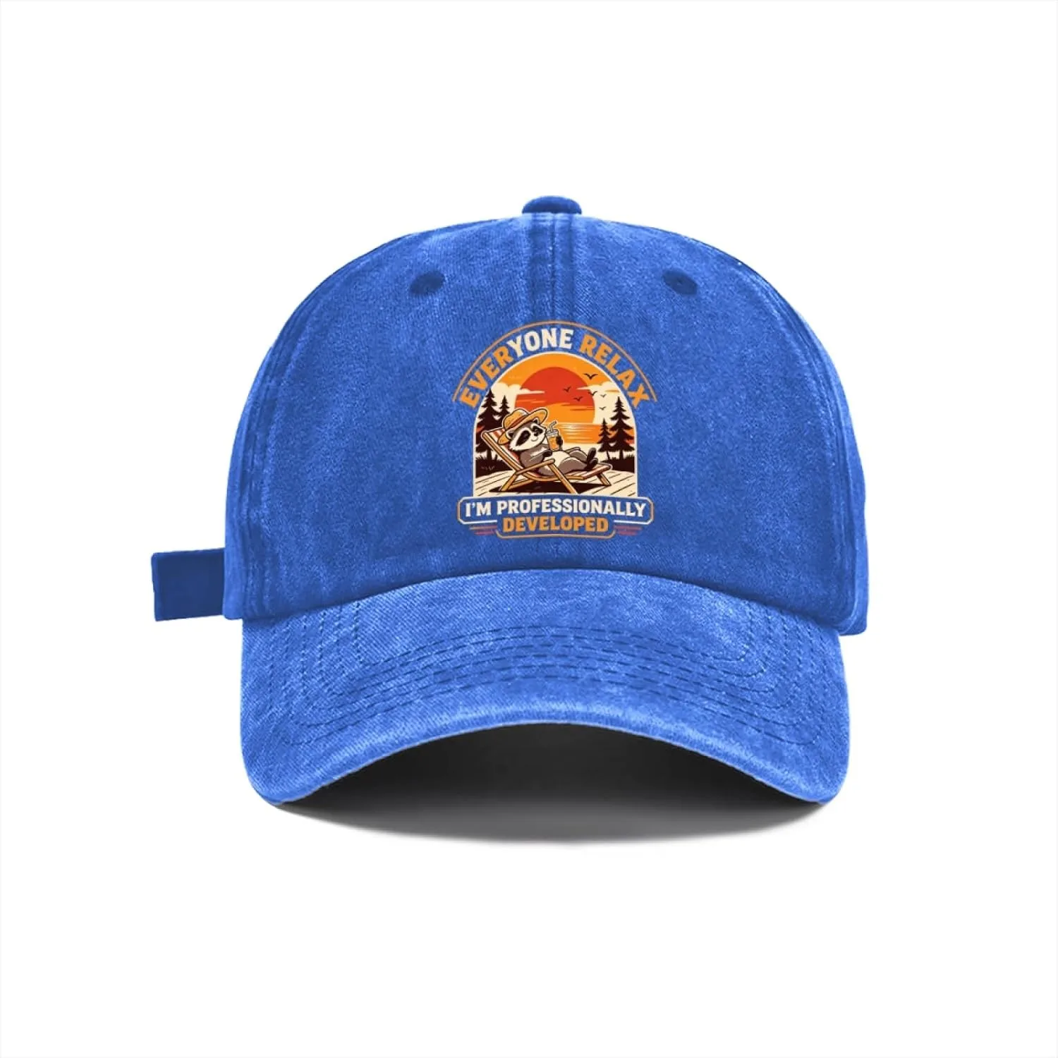 Everyone Relax I'm Professionally Developed Baseball Cap