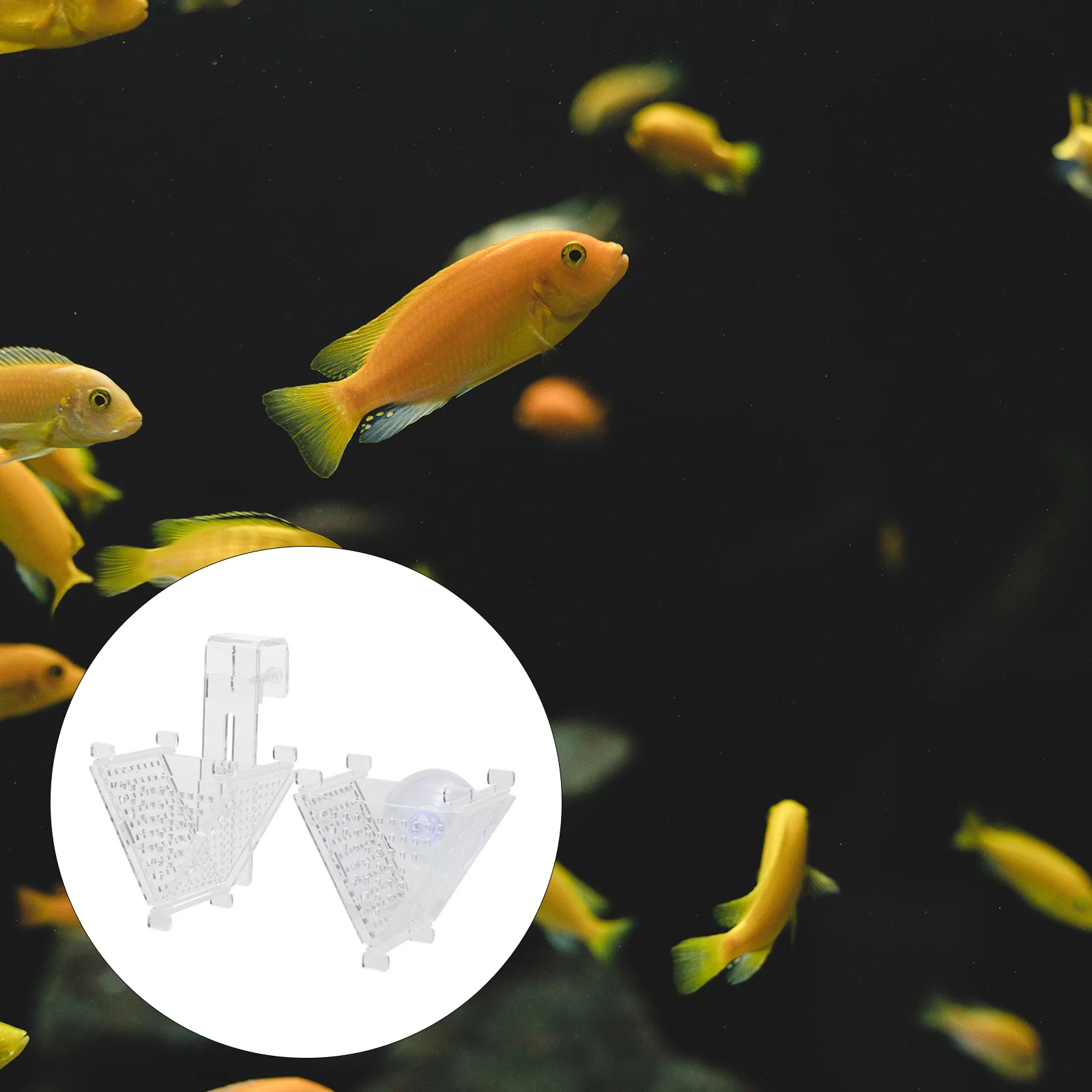 

2Pcs Red Worm Feeder High Brightness Acrylic Aquarium Food Holder Durable Easy Clean Fish Tank Accessories Fish Feeding Cup