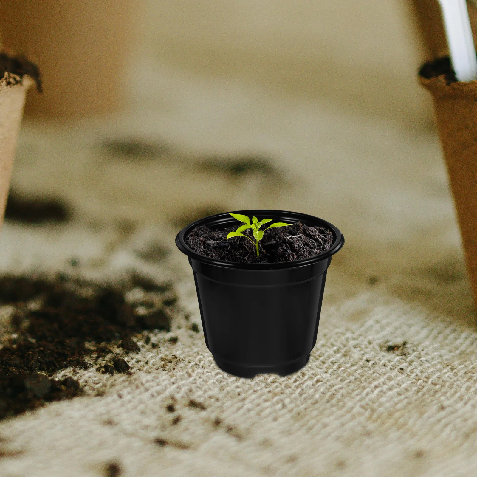 

10Pcs Pet Thick Nursery Pots Seed Starting Containers Hydroponic Planter For Succulent Gardening And Transplanting Black