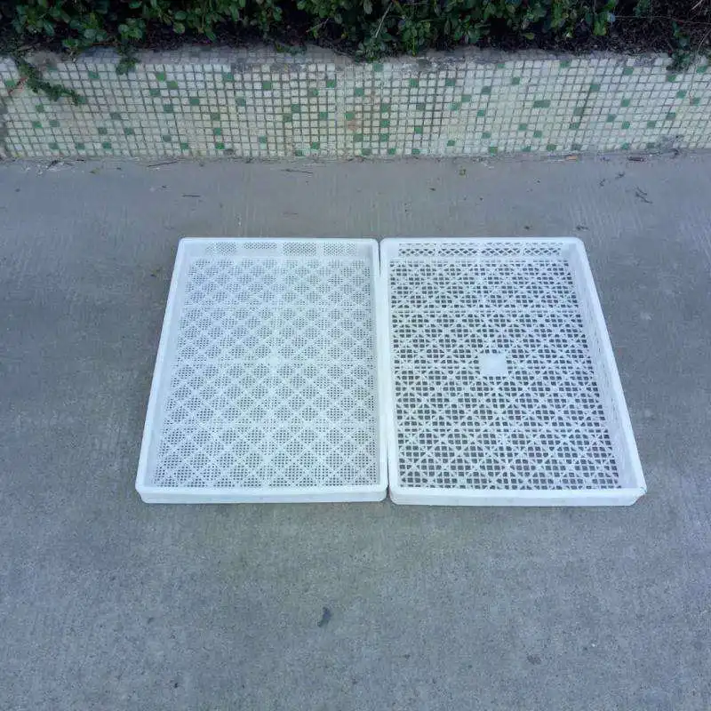 Plastic Baking Tray Freezer Tray Low Single Freezer 63045055 Ventilated Drying Basket Relay Box Storage Household Organizer