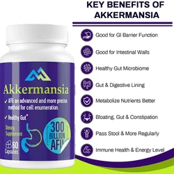 300 billion AFU Akkermansia Muciniphila live probiotic digestion, gut, immunity, and overall health, 60 capsules