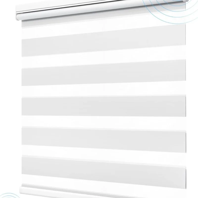 Diseño moderno día y noche interior doble capa Control remoto Wifi Tuya sistema motorizado cebra persianas enrollables para ventana