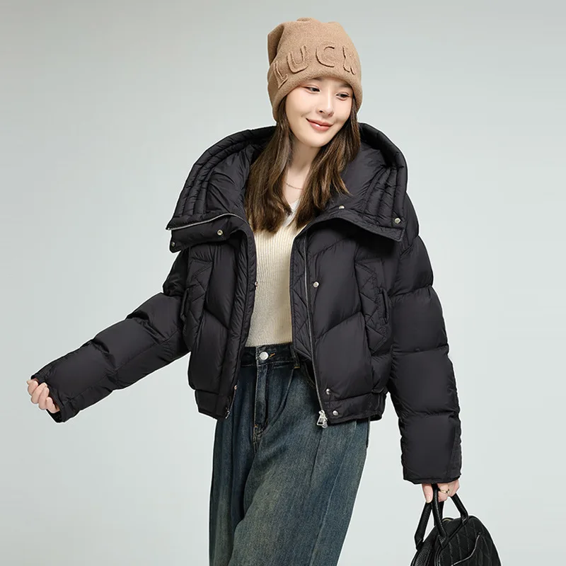 منتفخ كوري قصير لعام 2025. 90% بطة، ياقة واقفة وغطاء للرأس. دافئ للغاية وأنيق.