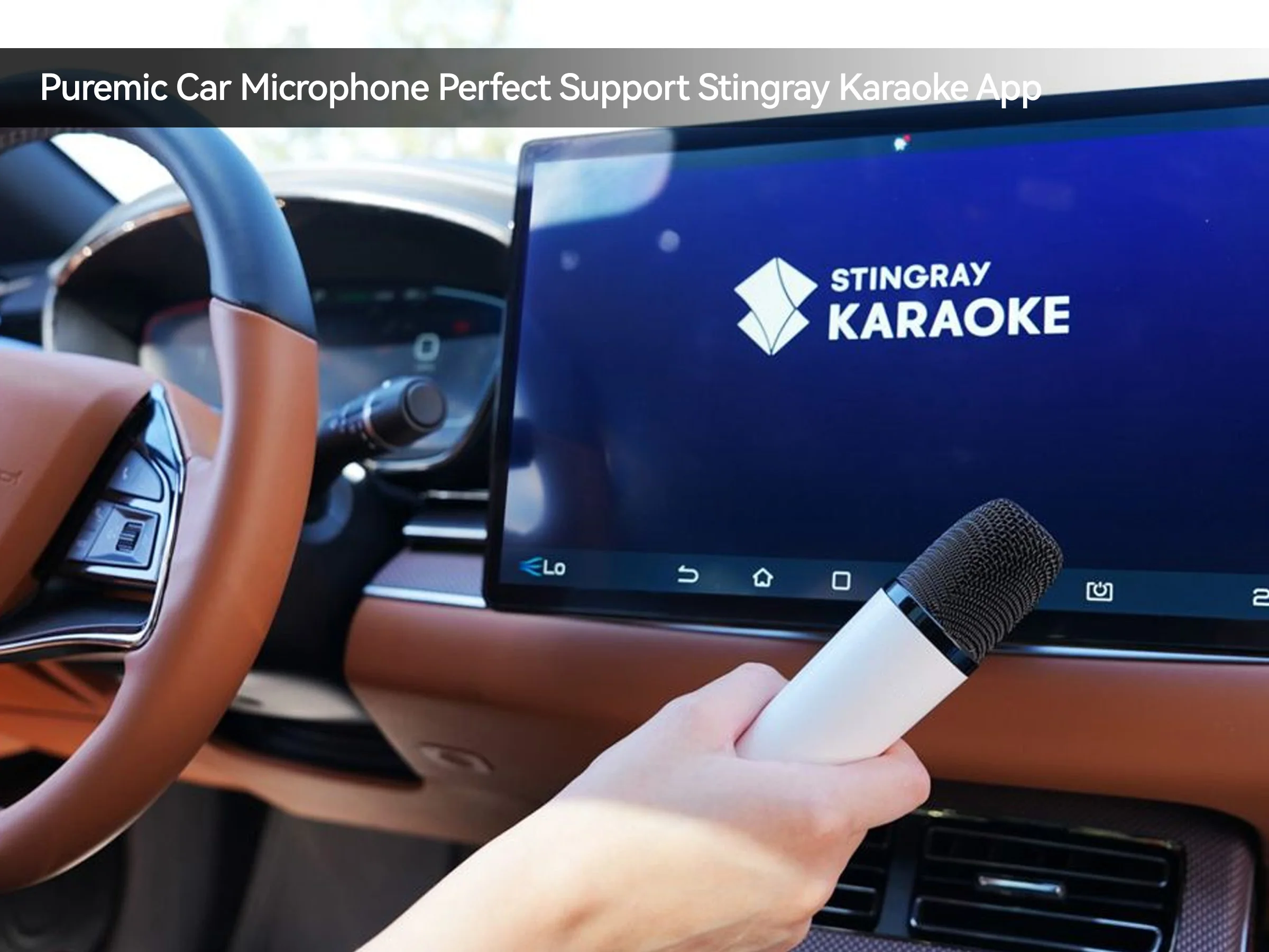 BYD Official factory Car Microphone With Receiver, For Huawei Vision, Xiaomi TV also, Original sale.