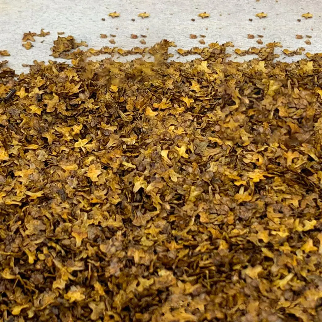 Kit de micro paisagem de folhas em miniatura para casa de boneca, layout ferroviário, acessórios de decoração HO