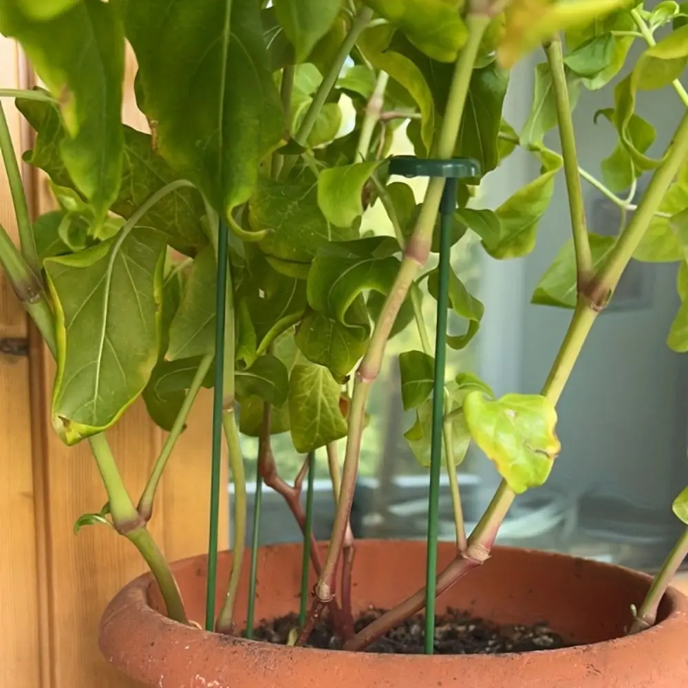 

10Pcs Support Rod Plant Supports Stakes 17/27/37cm Fixed Bonsai Fixing Tool Anti Lodging Durable Flower Vine Climbing Bracket